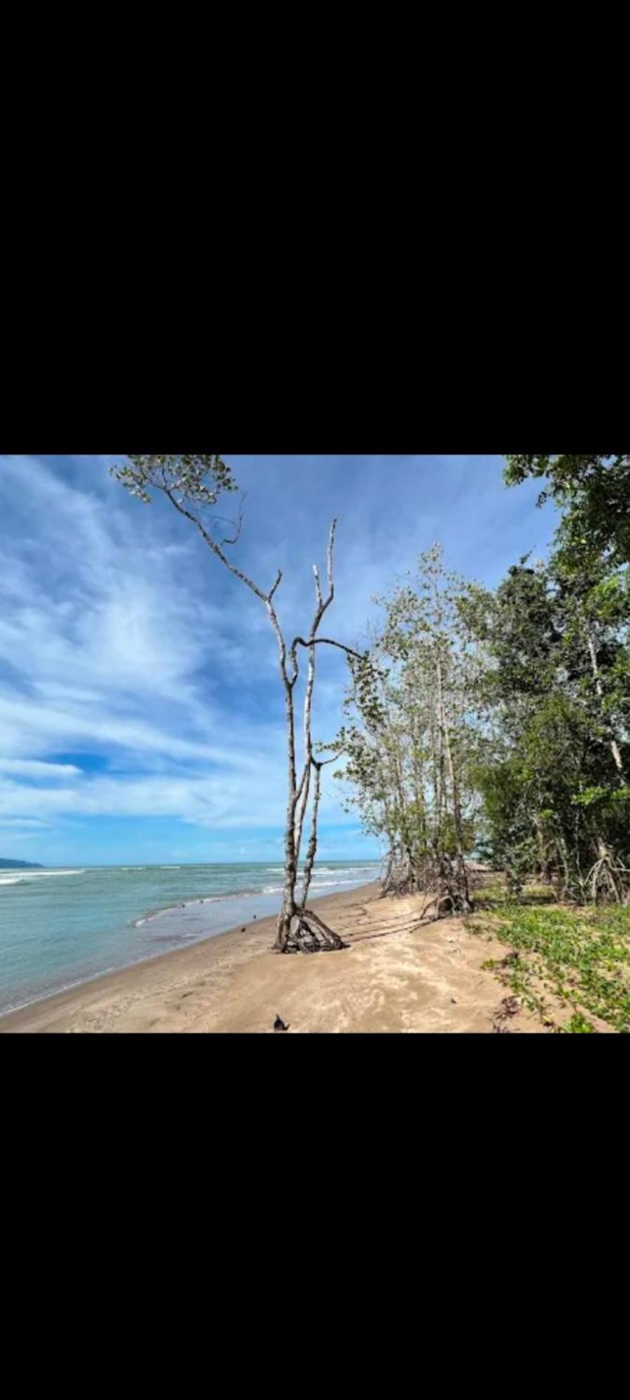 Willa The Mangrove Sematan Zewnętrze zdjęcie